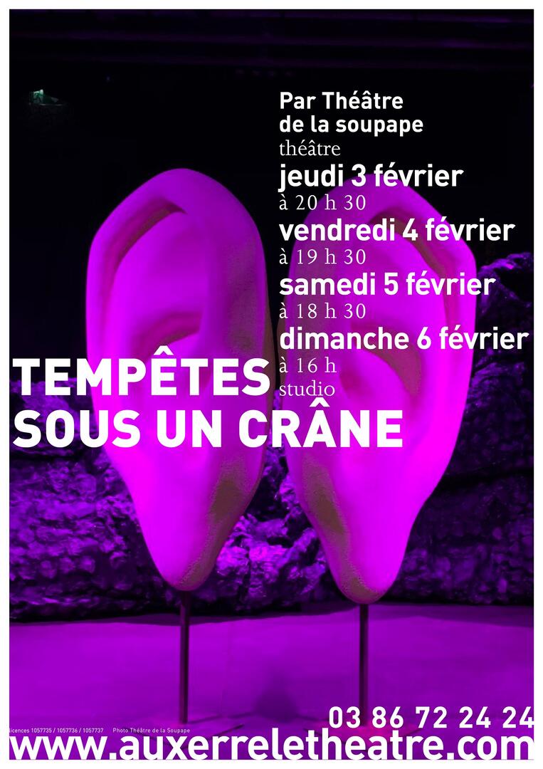Tempêtes sous un crâne
