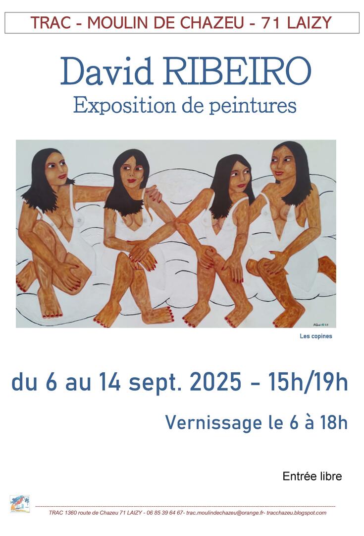 affiche D ribeiro