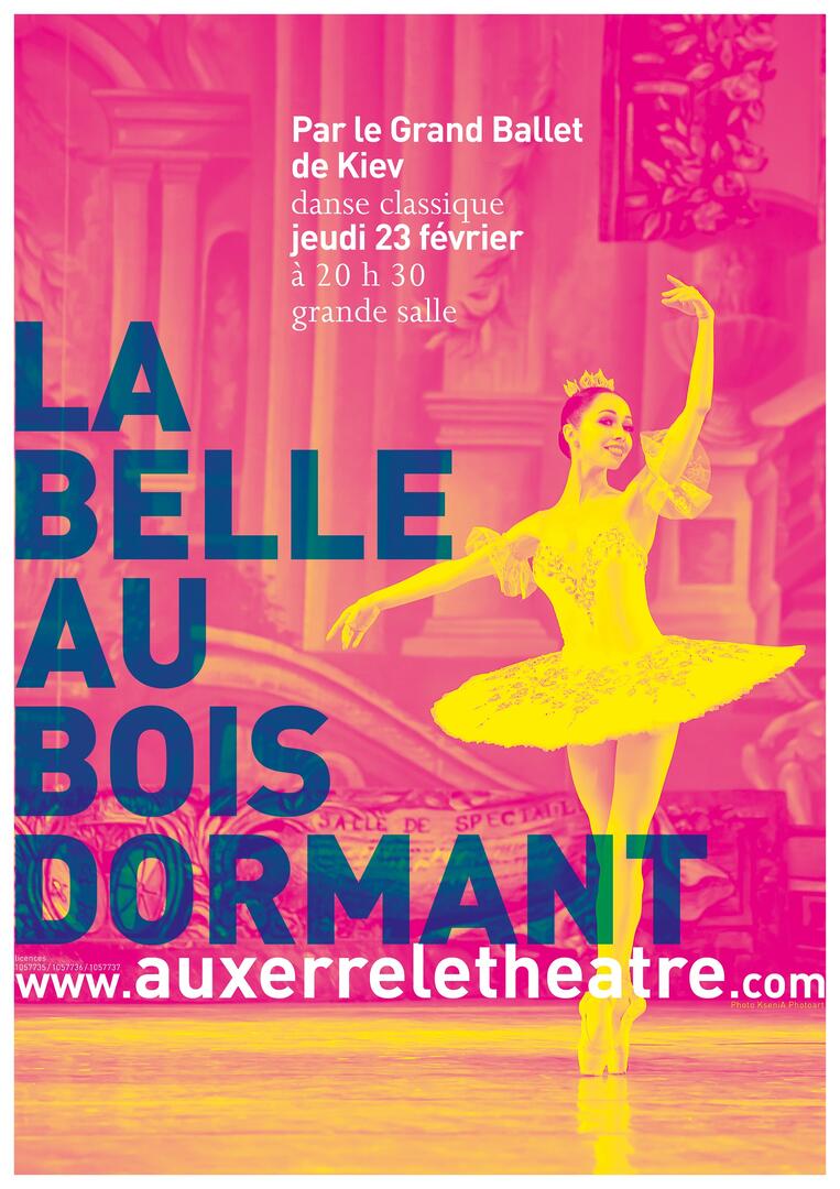 La belle au bois dormant