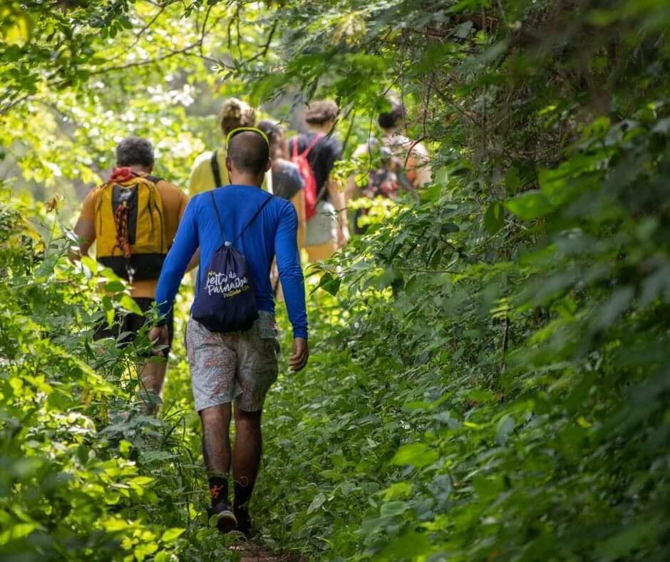 balade forestière PNRM_2025