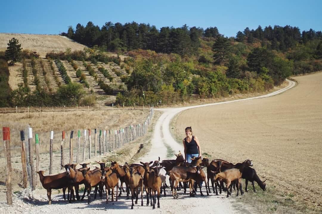 BALADE AVEC LES BIQUETTES