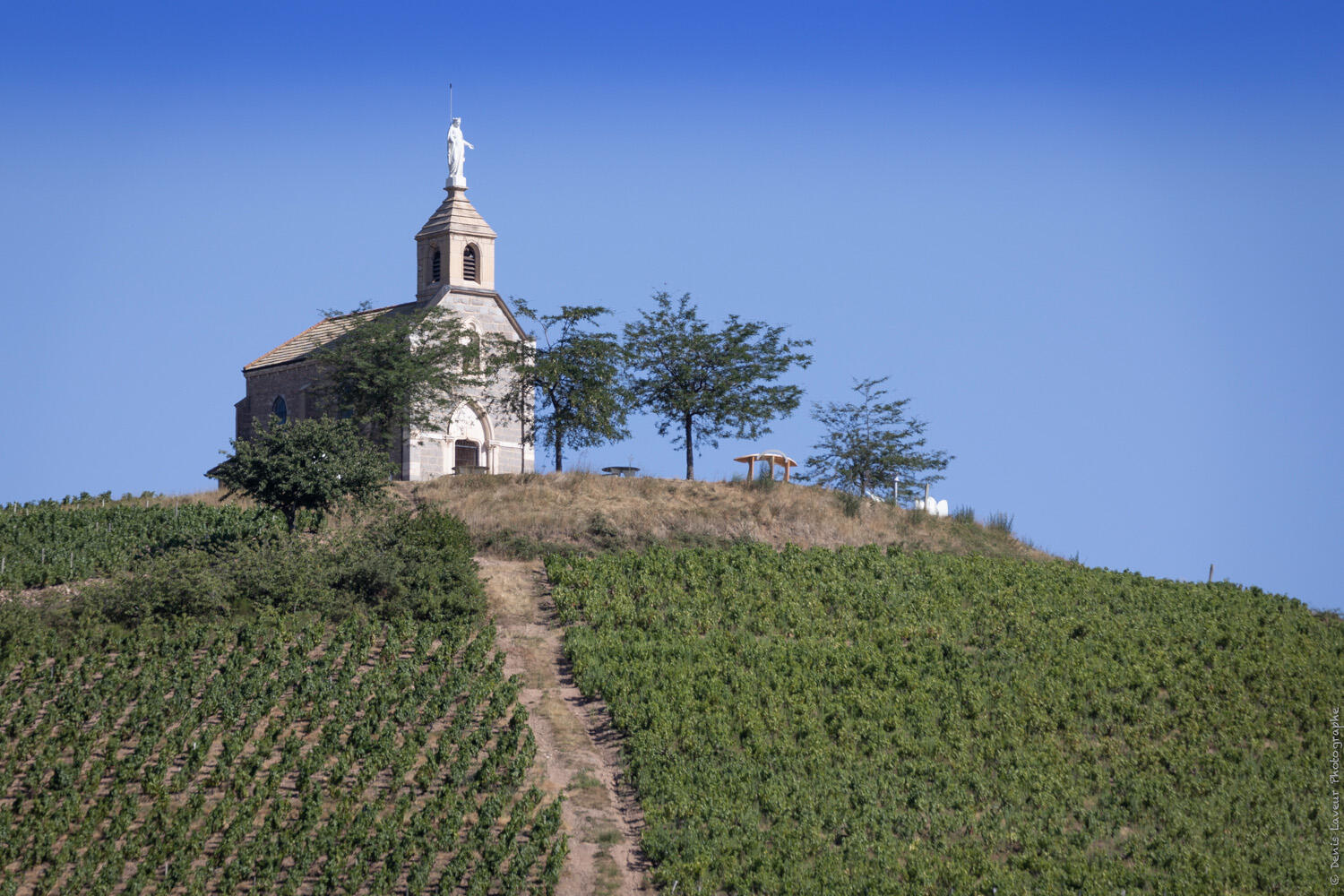 beaujolais