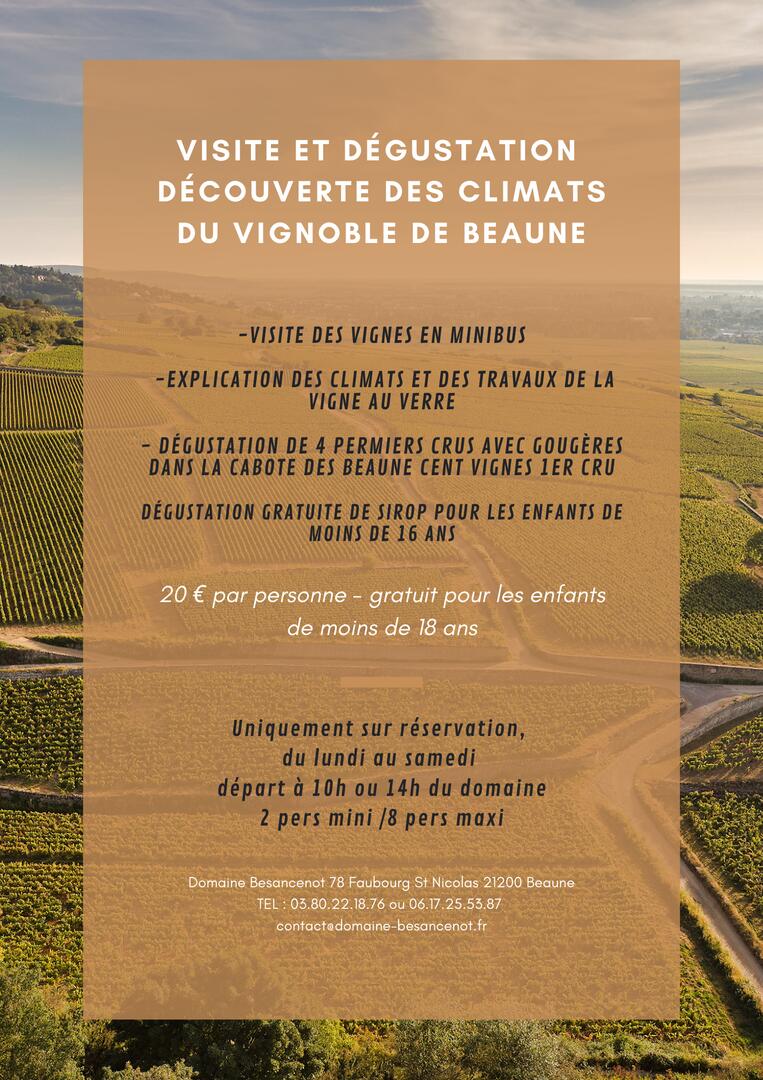 dégustation découverte métier