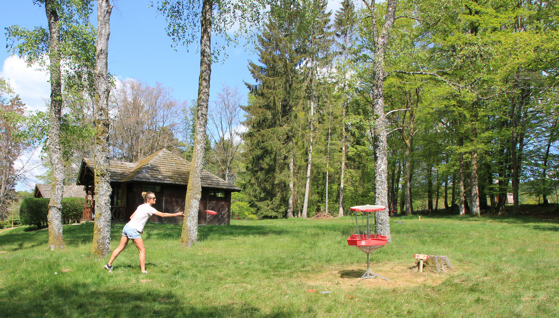 disc-golf