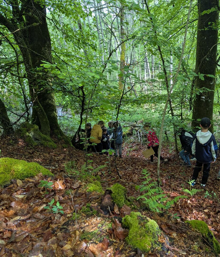 enfants_foret©Pauline Cortinovis-PNRM