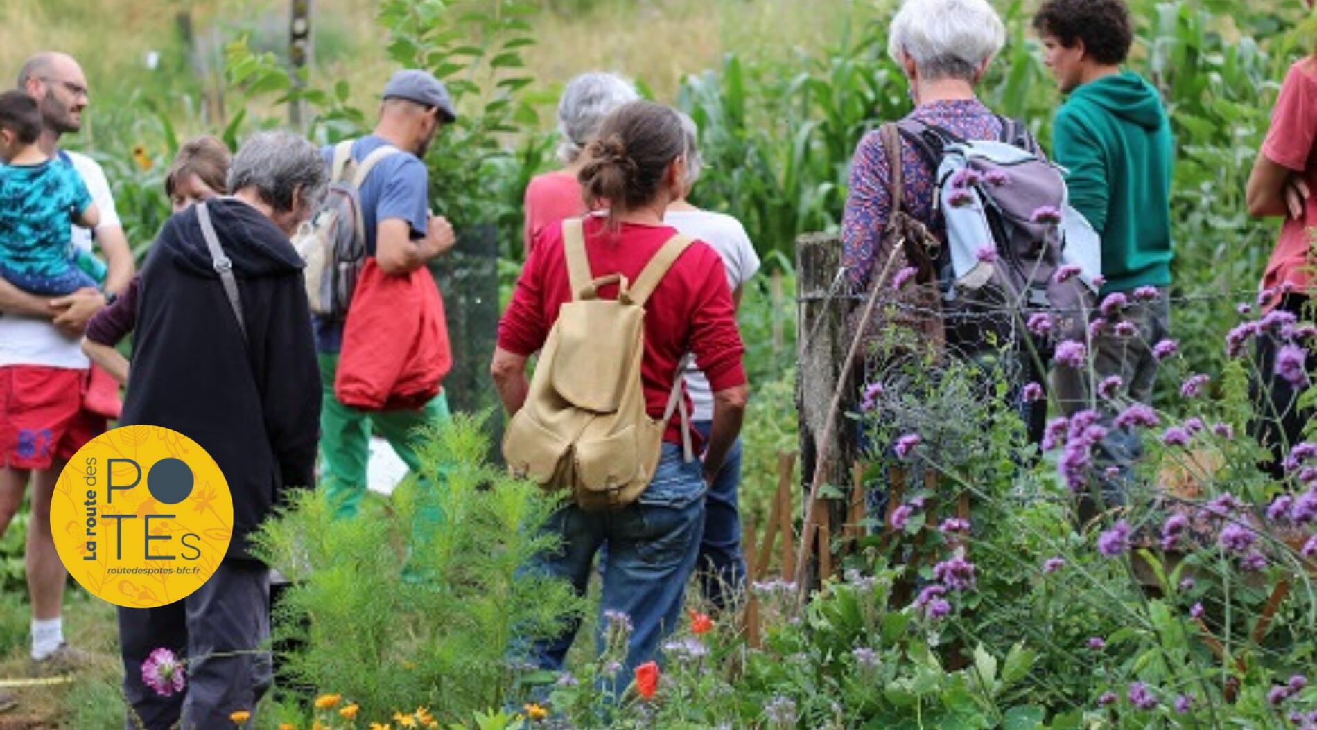 Visite de la forêt-jardin