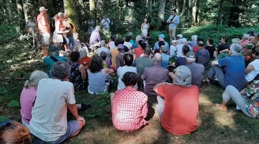 festival le vent sur l'arbre