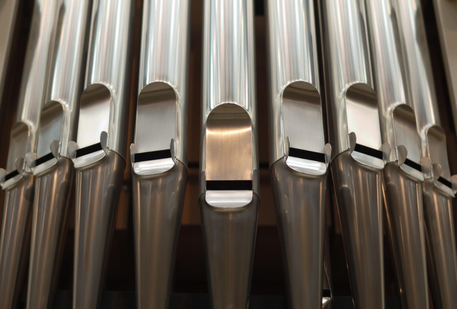 orgue-2048x1382