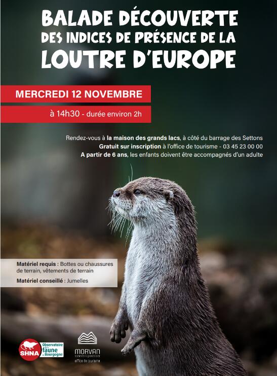 loutre 121125
