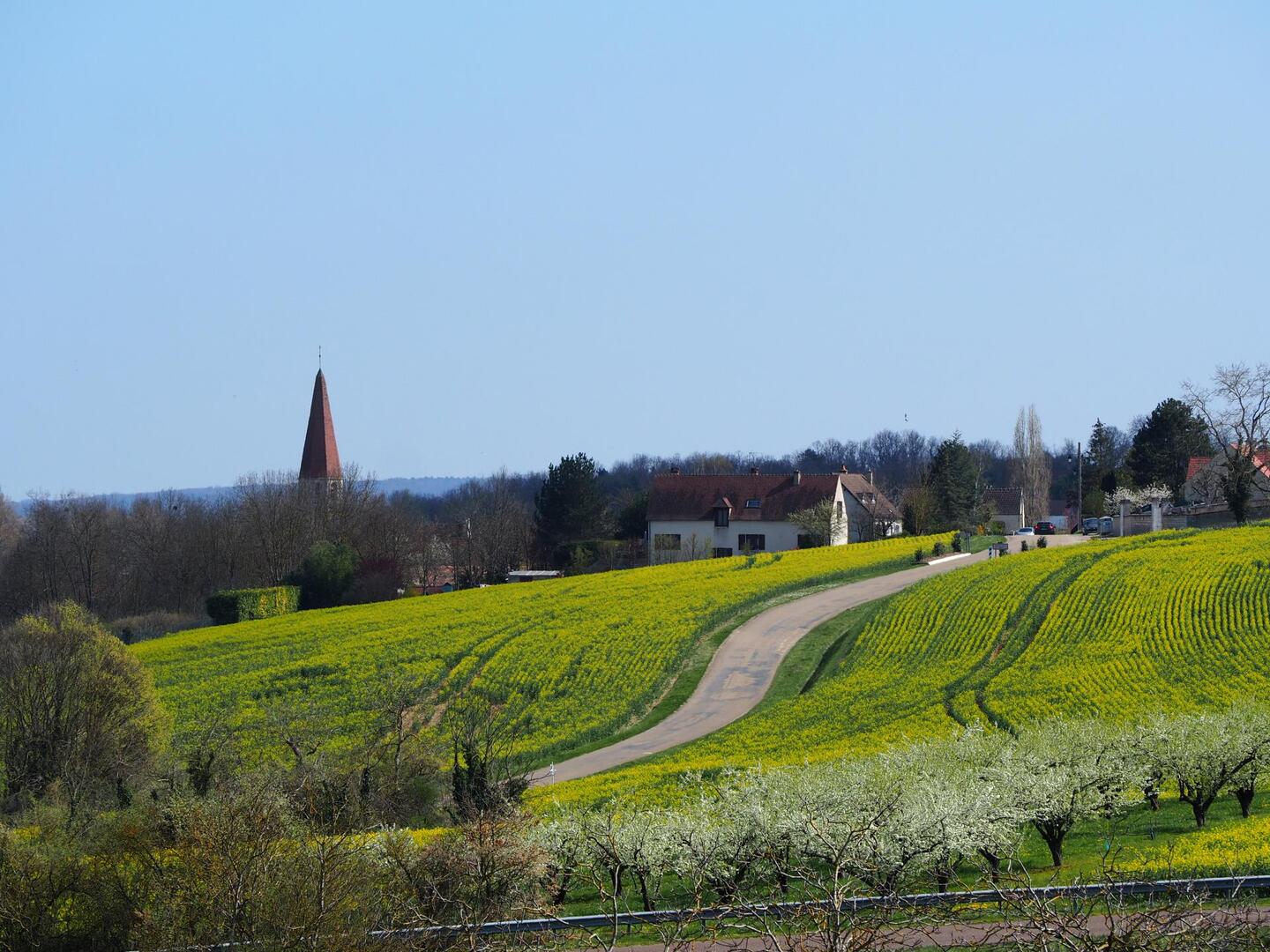 LA SAINTE CAMILLE