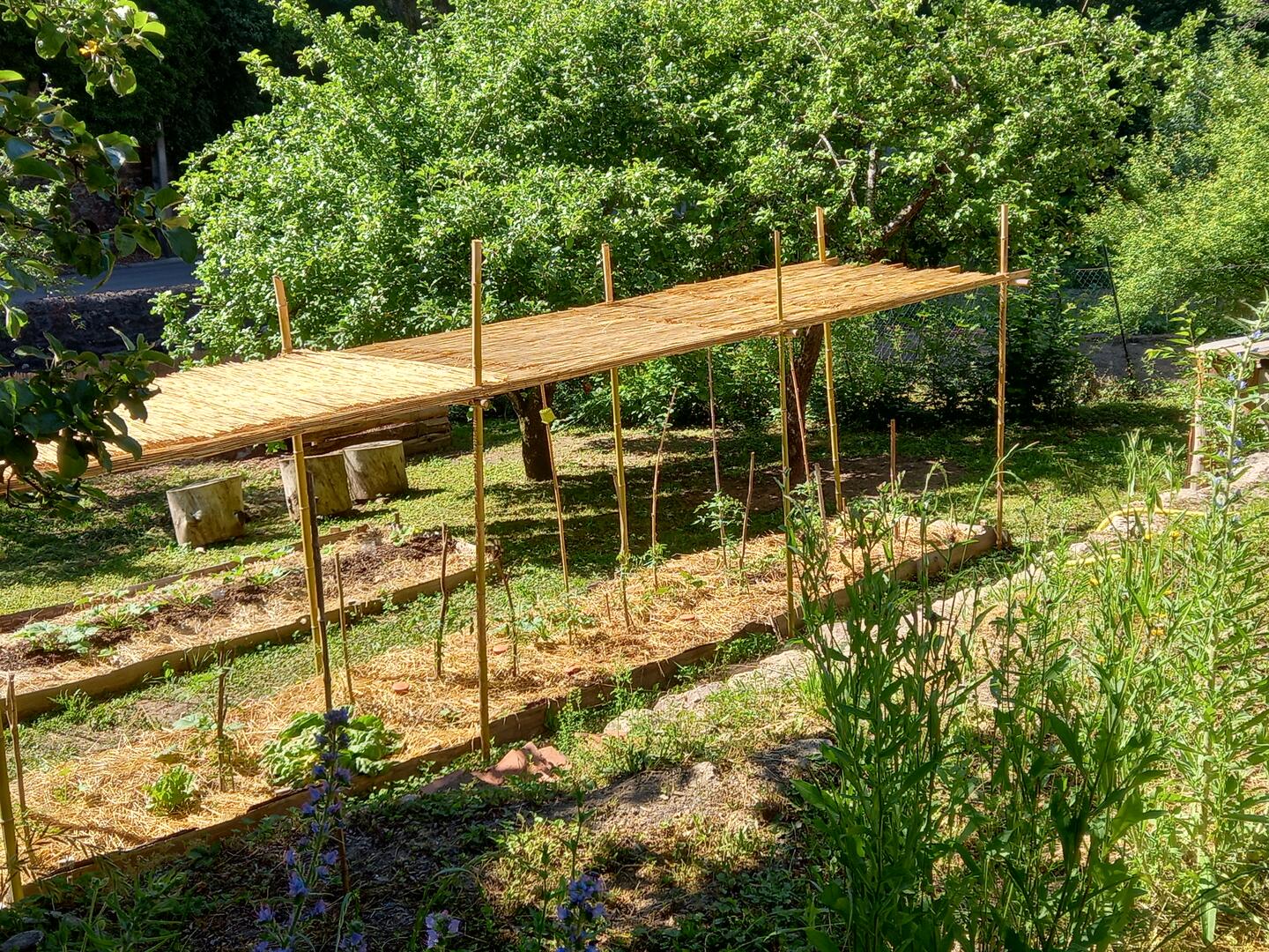 JARDINS TERRASSES ET PERMACULTURE