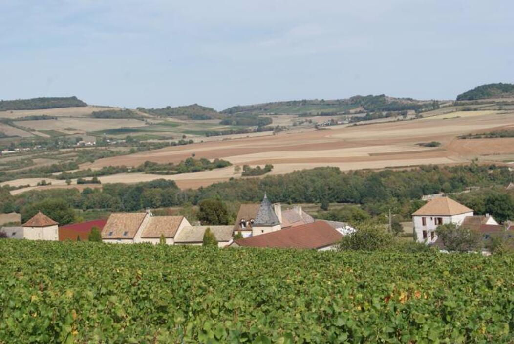 Paysage extérieur