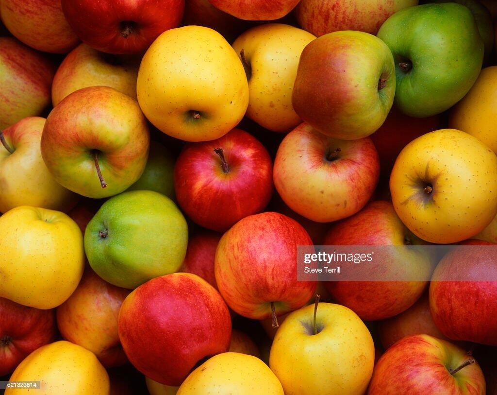 photos pommes