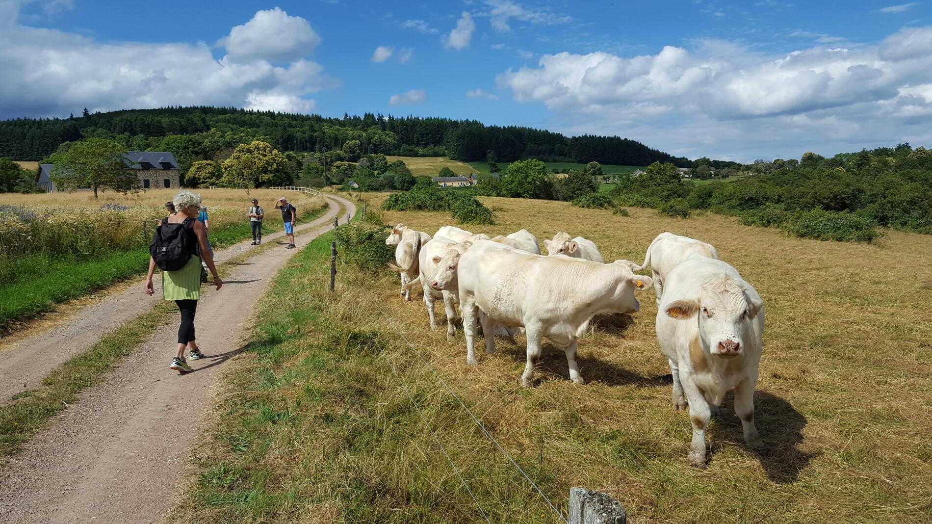 Roussillon-en-Morvan