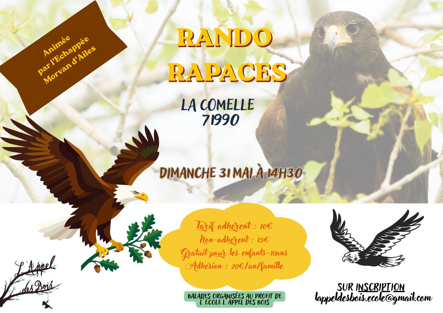 Partez à la découverte des plantes sauvages comestibles avec Elodie ! (59.4 x 42 cm) - Rando rapaces 31/05