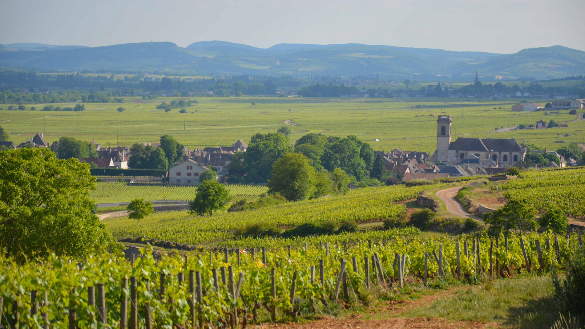 velo-bourgogne-22_1607590401