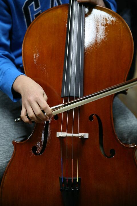 Contrebasse