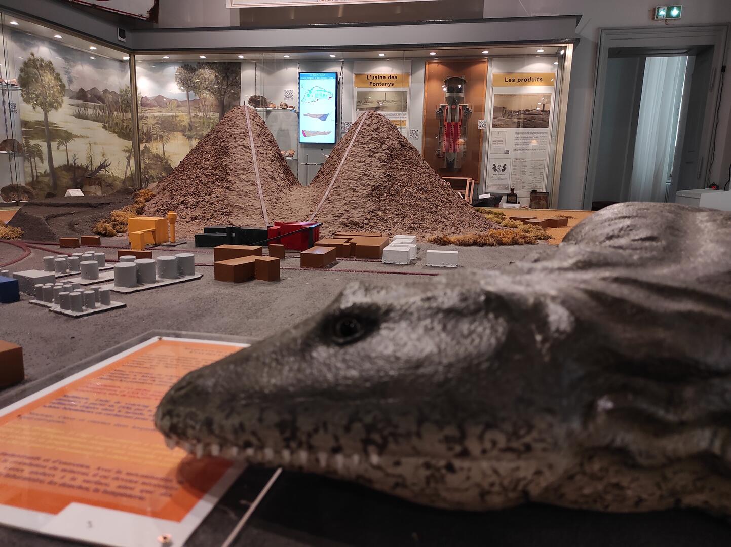 visuel collections museum