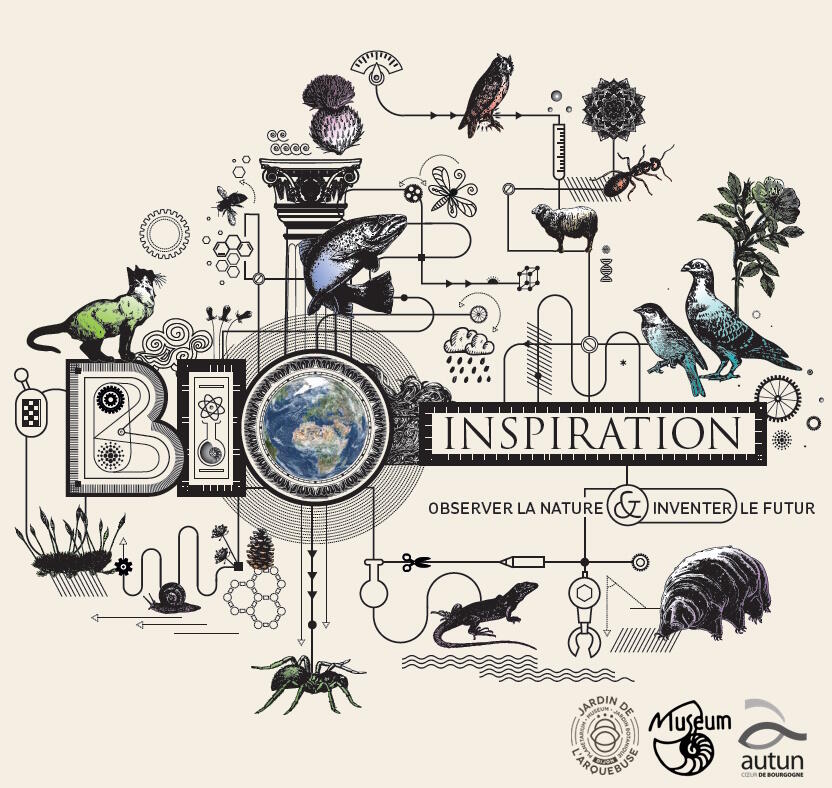 visuel expo tempo & atelier bioinspiration