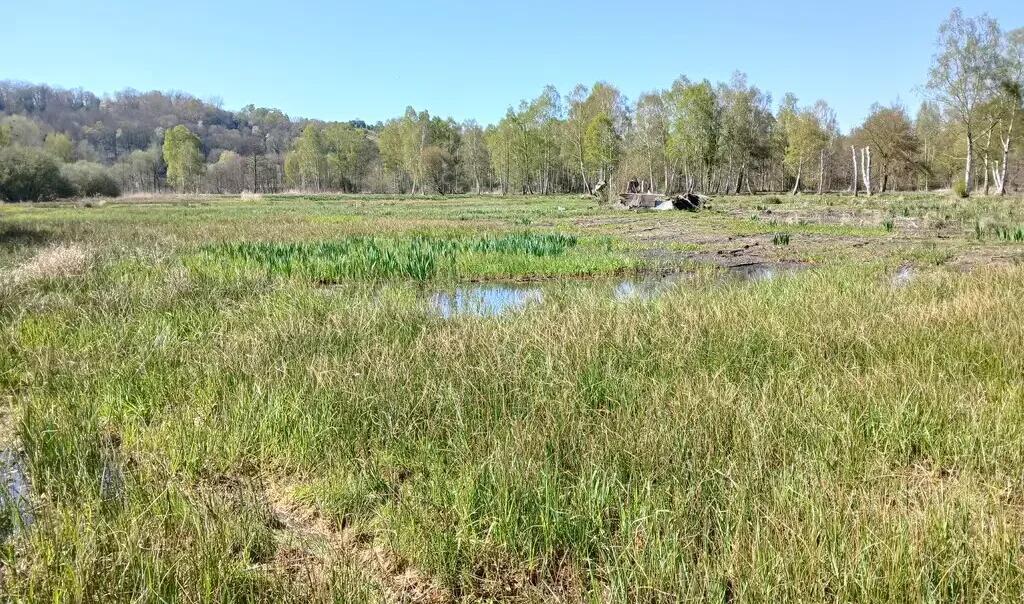 Marais-communaux-de-Mareuil-Caubert-Somme-