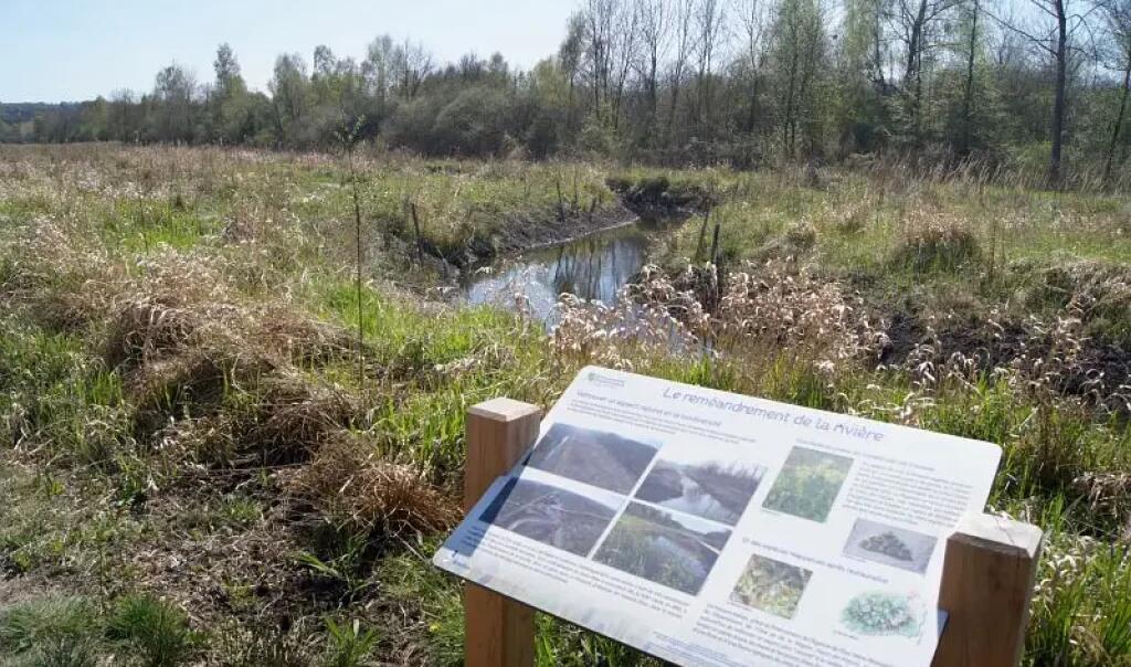 Marais-de-Bresles-Oise-©R.Monnehay-CEN-Hauts-de-France-rja3q39wfzcnrbss5lfiul0e0dgz16qnvw646rx194