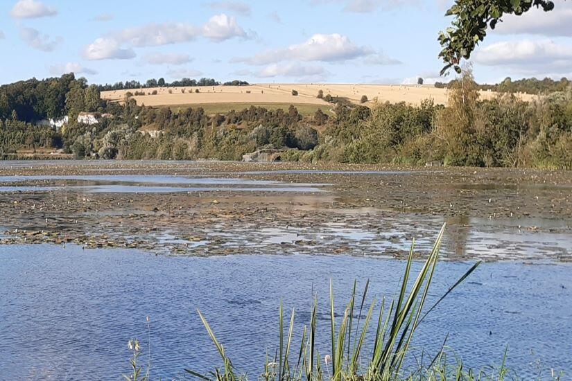 Marais de Longprès les Corps Saints