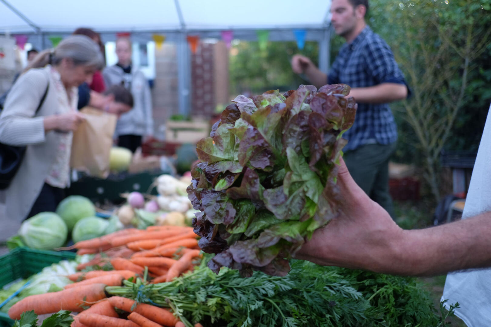 Marché IleauxFruits Amiens © Ile aux fruits