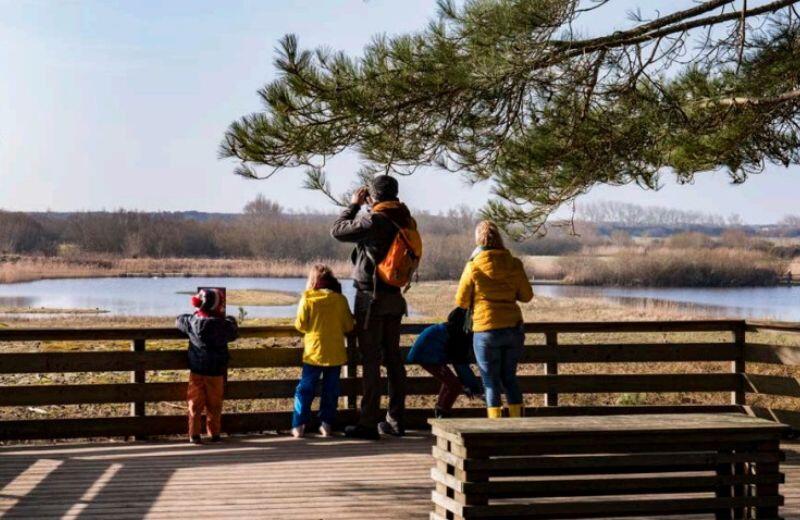 semaine-oiseaux-hivernants