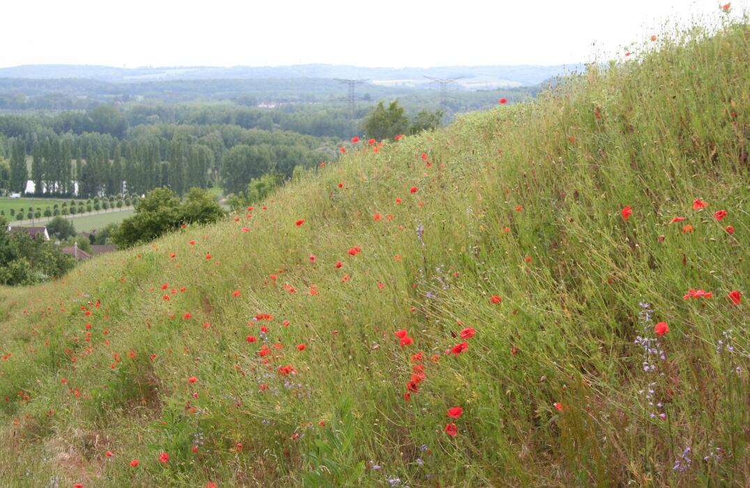 Mont César_M. Moeys CEN Picardie