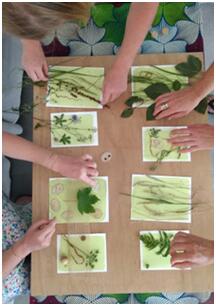 Photo atelier du cyanotype
