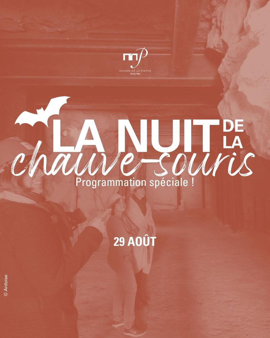 Nuit de la chauve-souris