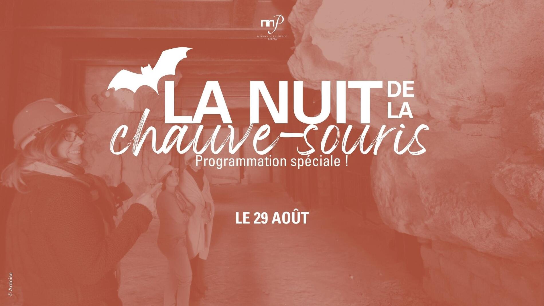 Nuit de la chauve-souris