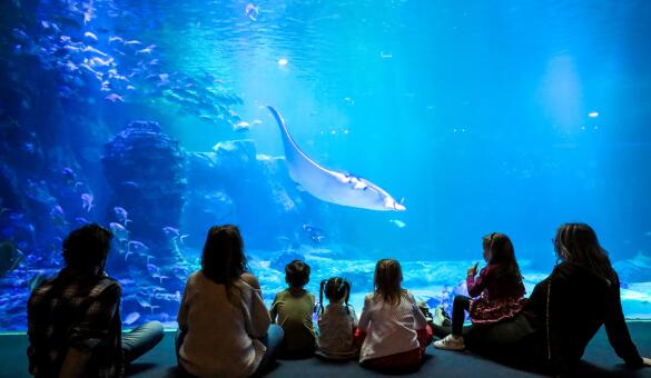 Nausicaa (585 x 340 px) - 1