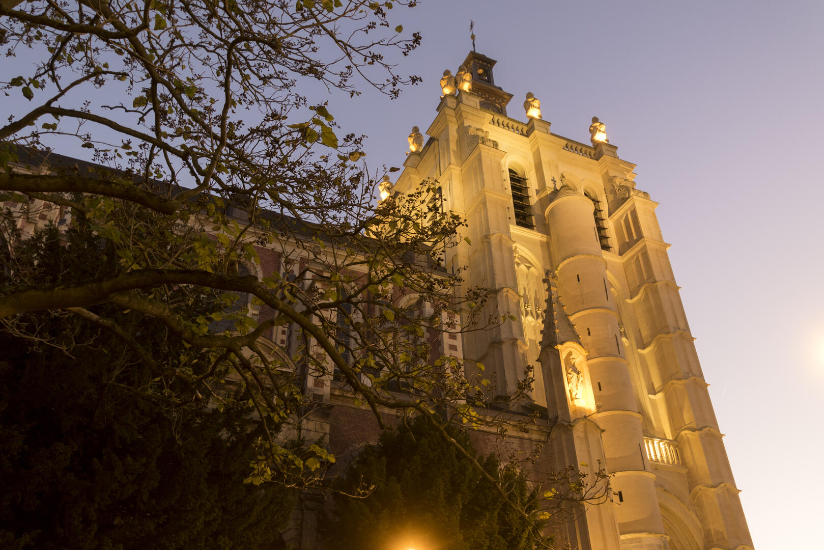 Collégiale-Saint-Pierre-église-Douai-Douaisis-Nord-France