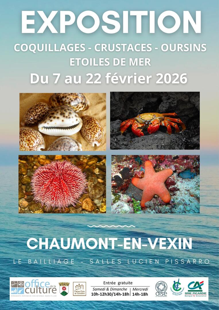 Exposition: Coquillages-crustacés-Oursins-Etoiles de mer
