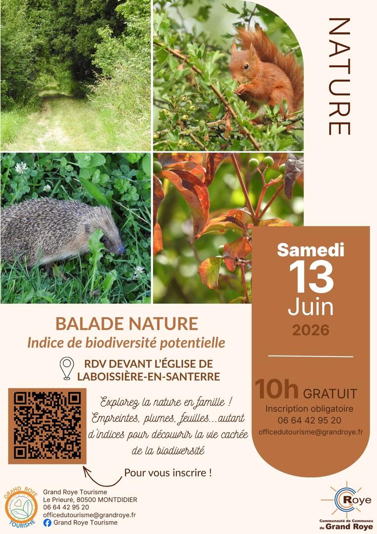Balades nature (oiseaux/biodiversité) - 2