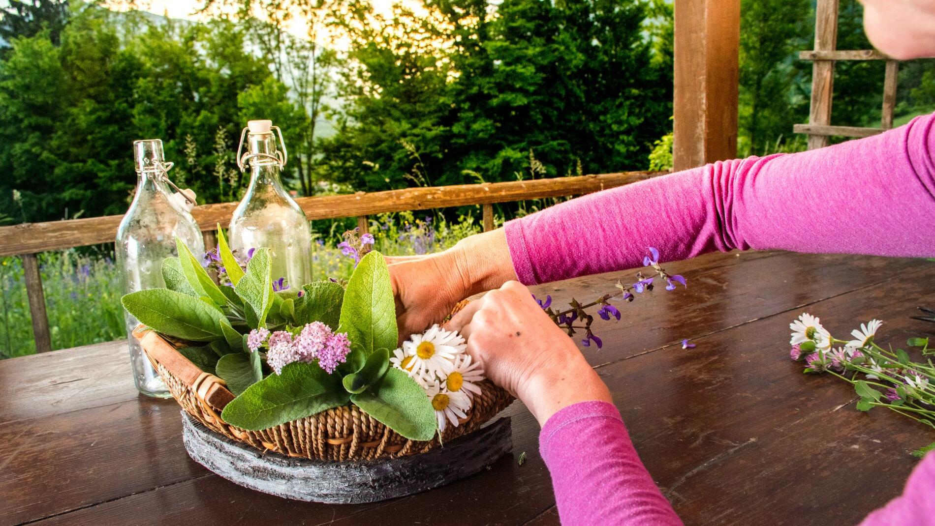 Bannière newsletter - 2