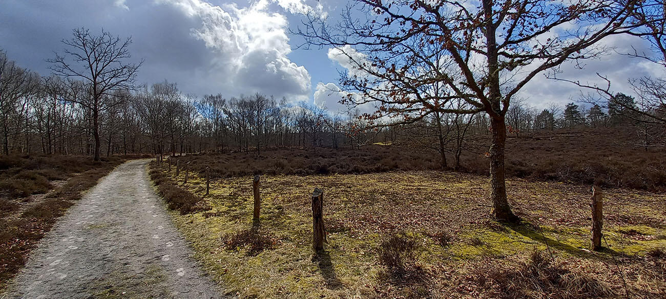 Sortie Bruyères de Rocq < Cessières < Aisne < Hauts-de-France