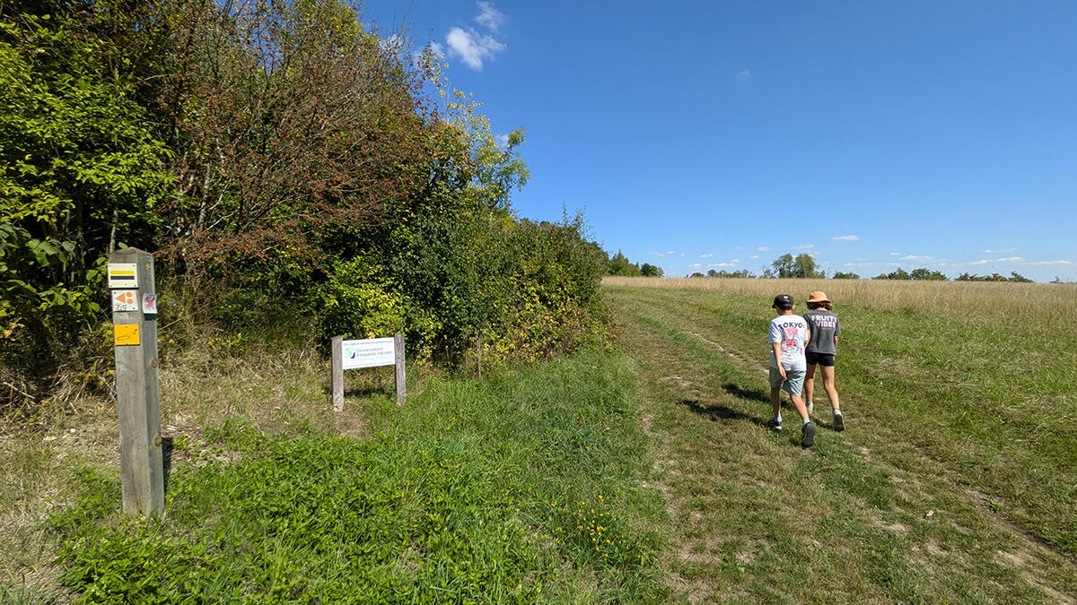 Pelouse calcicole 2025 I < Chermizy < Aisne < Picardie