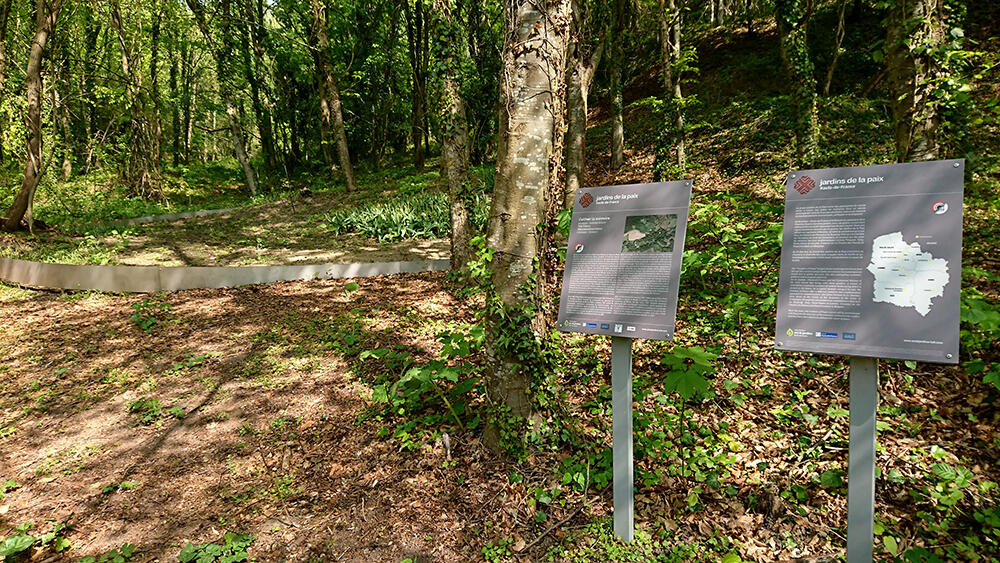 Arboretum 2019 II < Craonne < Aisne < Picardie