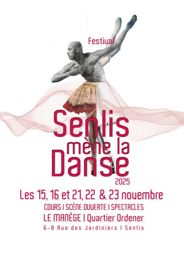 Senlis mène la danse - Festival