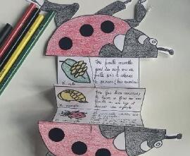 Capture d'écran 2025-12-31 121936