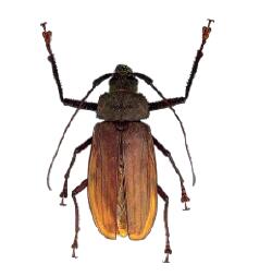 Capture d'écran 2025-12-31 122015