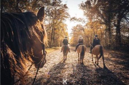 Capture d'écran 2026-01-06 120103