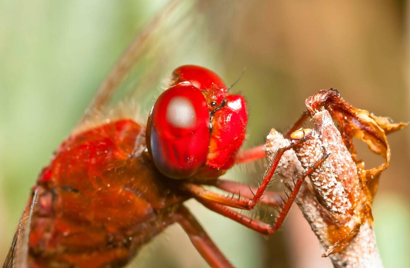 Capture d’écran 2026-03-04 155142