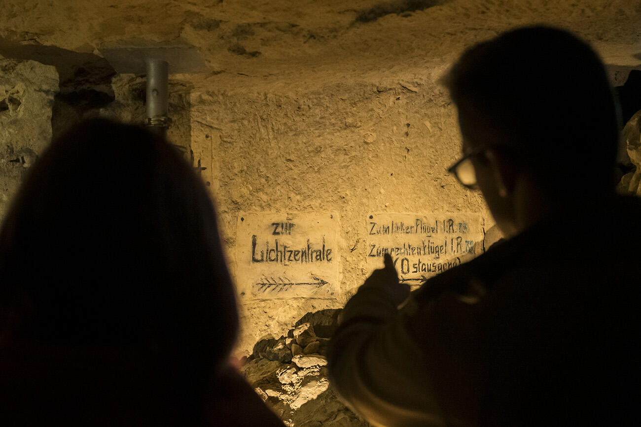 Visite de la Caverne du Dragon VI