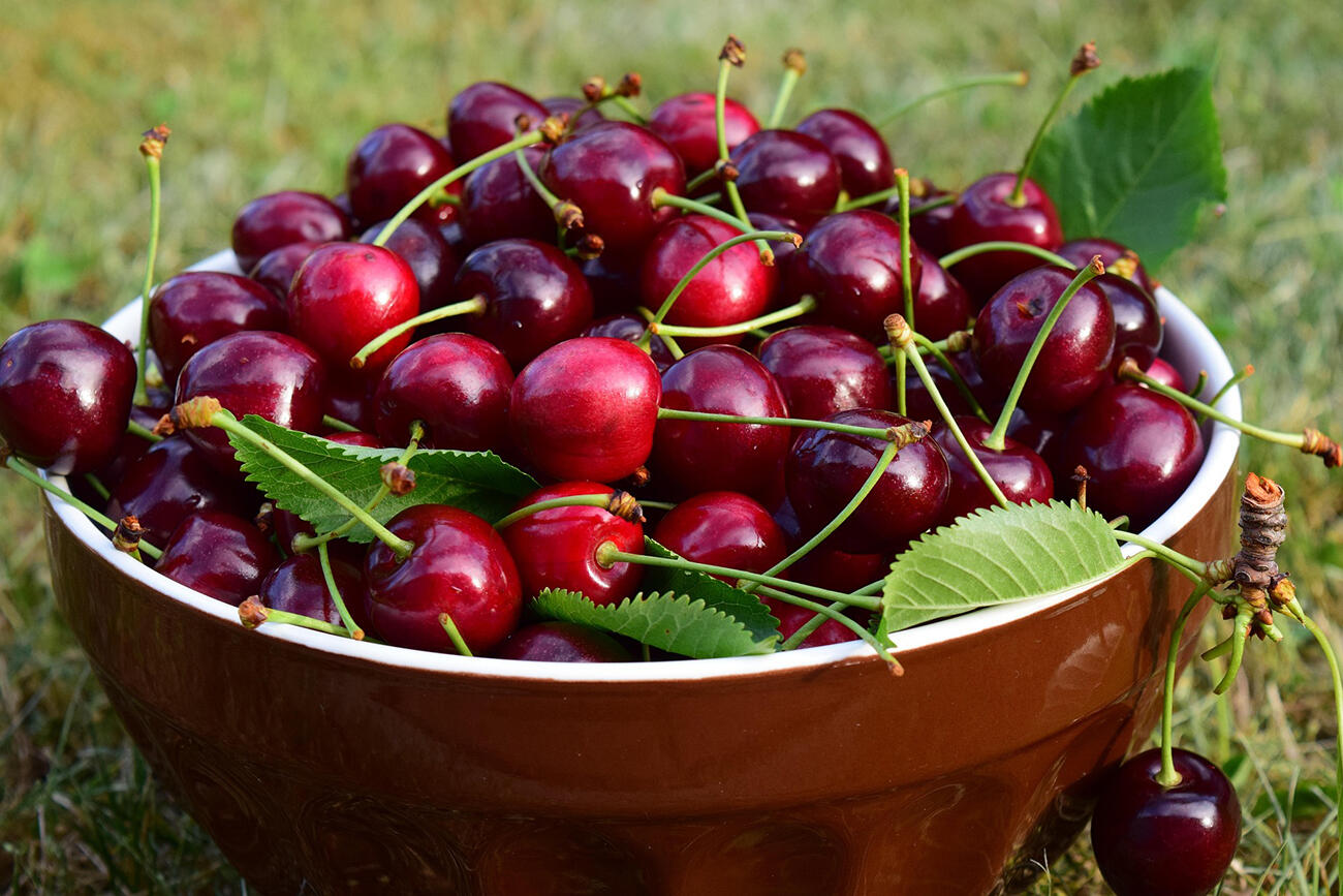 Atlier fruits légumes < Laon < Aisne < Picardie