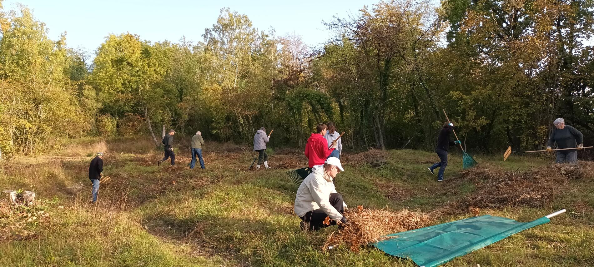 Chantier nature bénévole