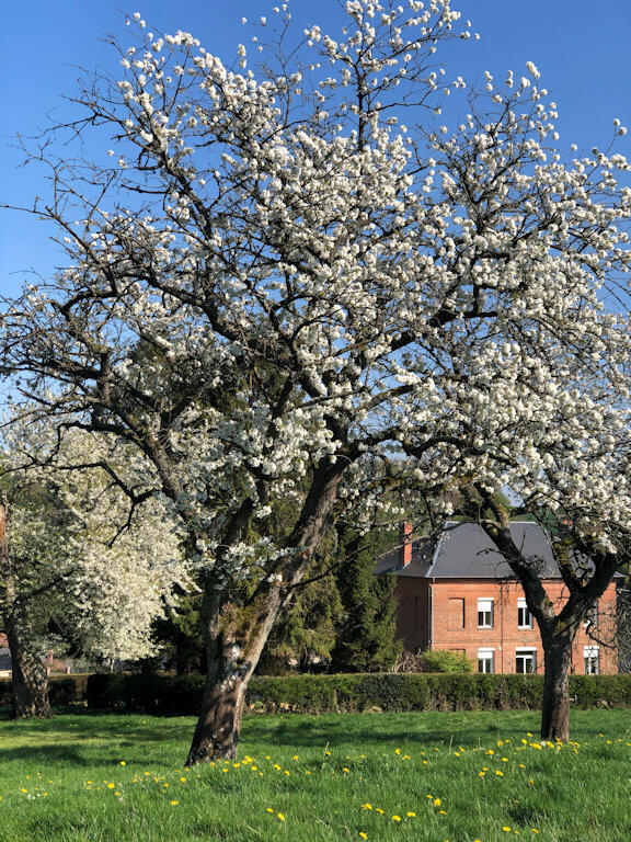 Chateau-de-Gourchelles