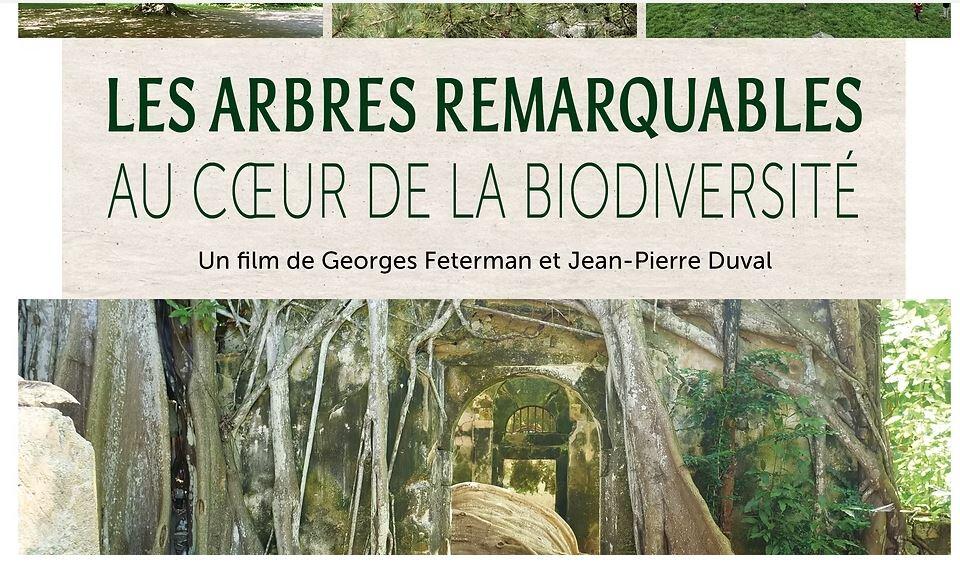 Ciné débat 2025 II < Laon < Aisne < Picardie